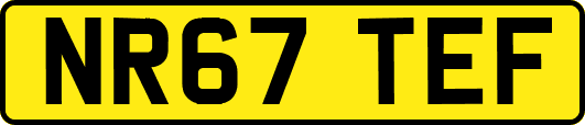 NR67TEF
