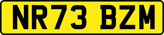 NR73BZM