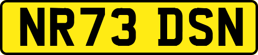 NR73DSN