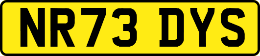 NR73DYS