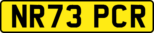 NR73PCR