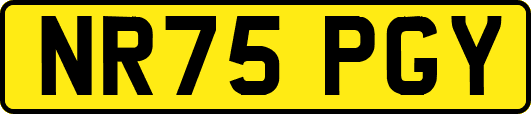 NR75PGY