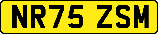 NR75ZSM