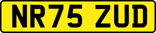 NR75ZUD