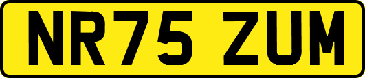 NR75ZUM
