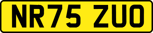NR75ZUO