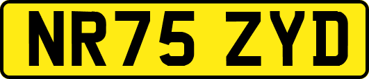 NR75ZYD