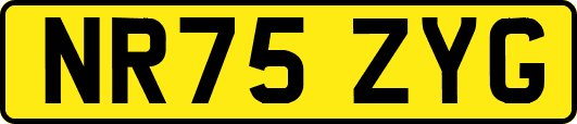 NR75ZYG