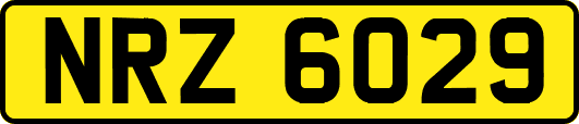 NRZ6029