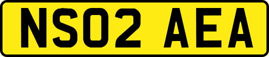 NS02AEA