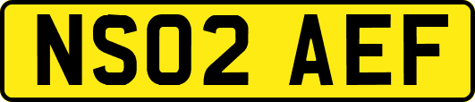 NS02AEF
