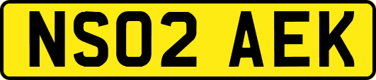 NS02AEK