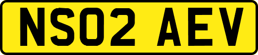 NS02AEV