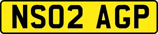 NS02AGP