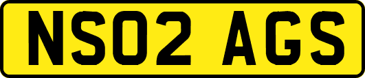NS02AGS