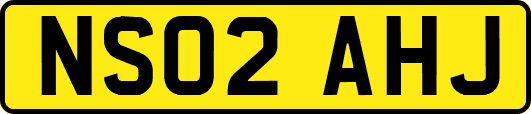 NS02AHJ