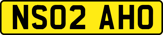 NS02AHO