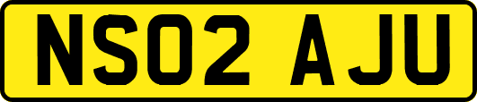 NS02AJU