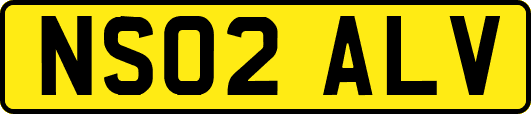 NS02ALV