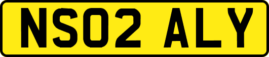 NS02ALY