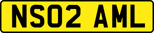 NS02AML
