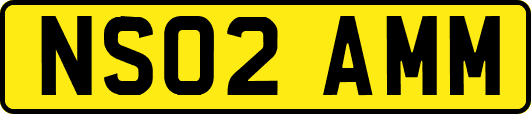 NS02AMM
