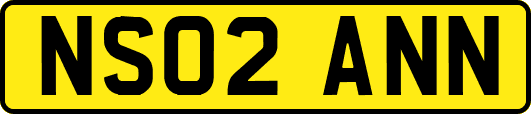 NS02ANN
