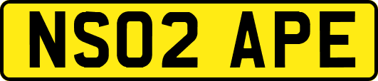 NS02APE