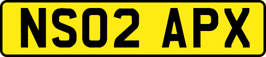 NS02APX