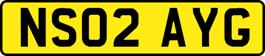 NS02AYG