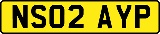 NS02AYP