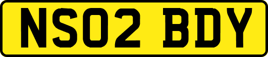 NS02BDY