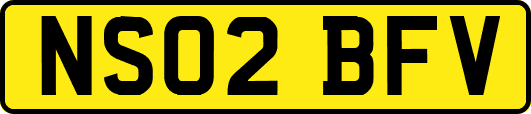 NS02BFV