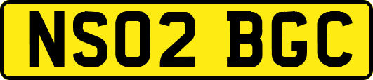 NS02BGC