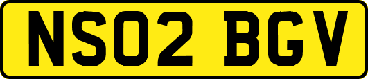 NS02BGV
