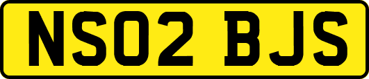 NS02BJS