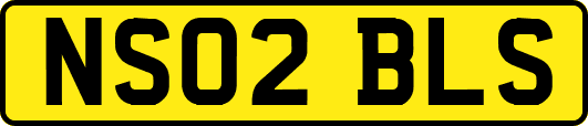 NS02BLS