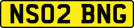 NS02BNG