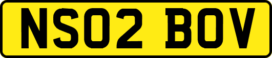 NS02BOV