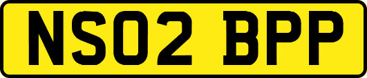 NS02BPP