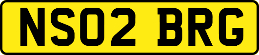 NS02BRG