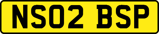 NS02BSP