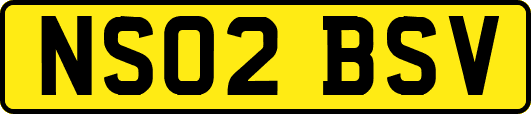 NS02BSV