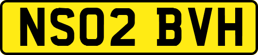 NS02BVH