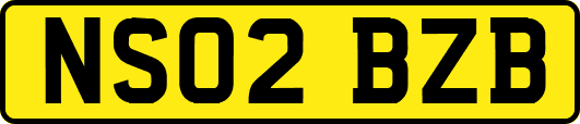 NS02BZB