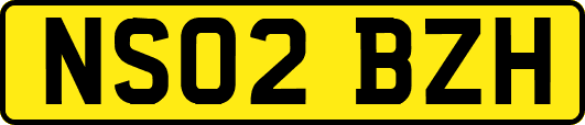 NS02BZH