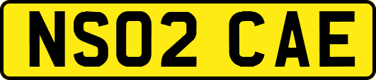 NS02CAE