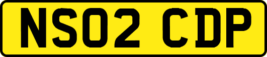 NS02CDP