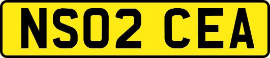 NS02CEA