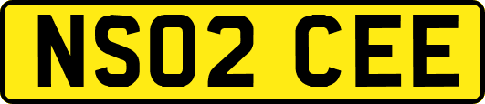NS02CEE
